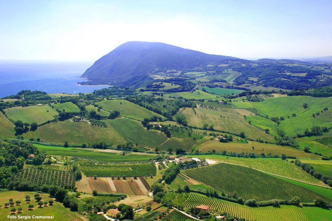 Photo of Others in Ancona