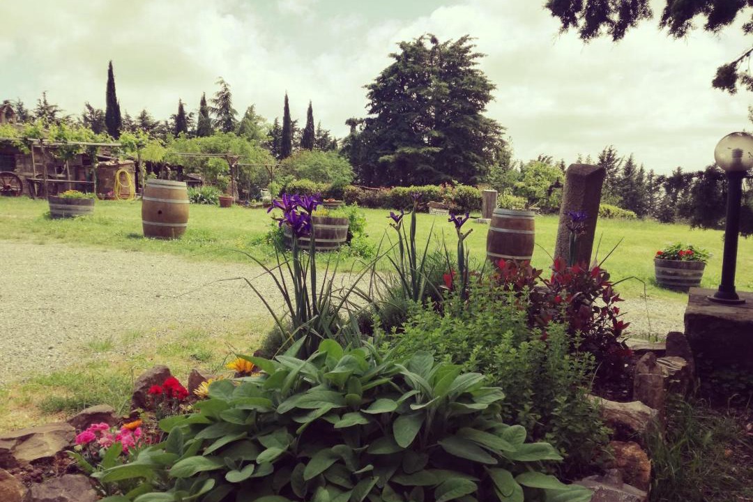 Photo of Others in Montalcino