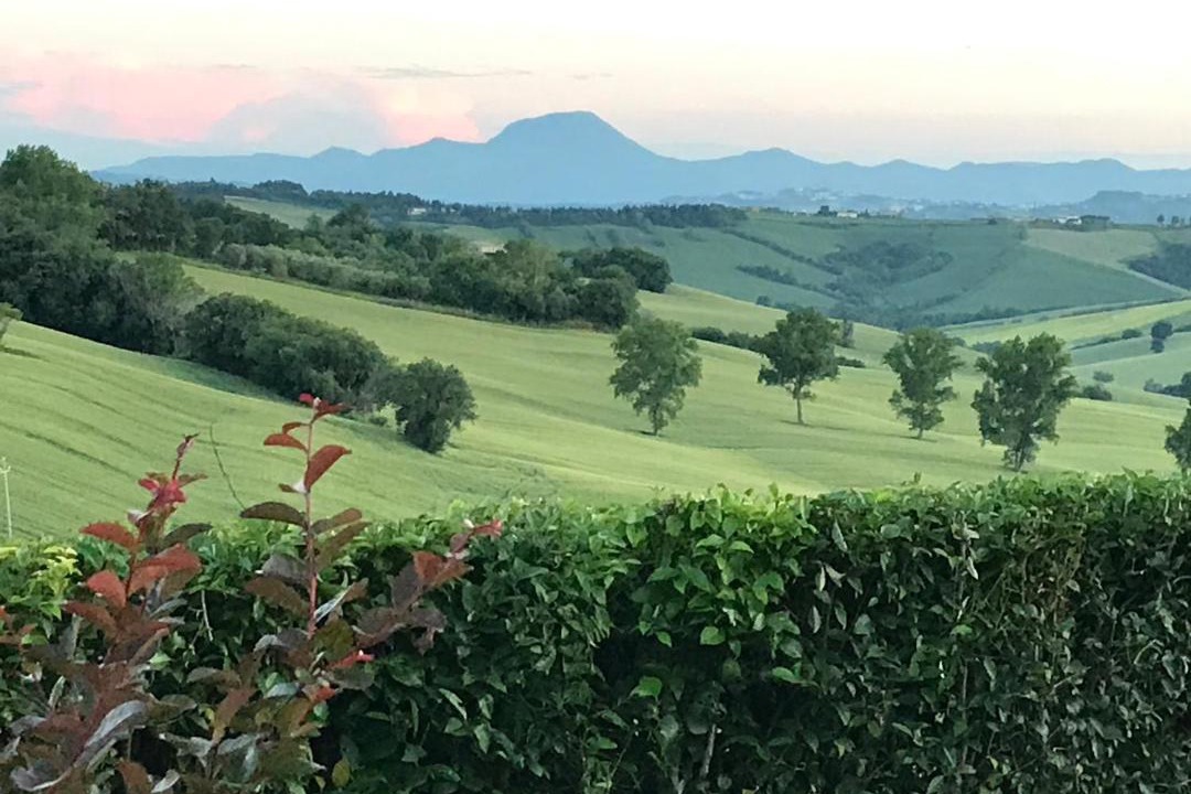 Photo of Outdoor in San Marcello
