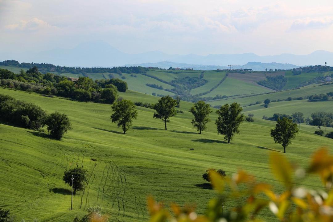 Photo of Outdoor in San Marcello