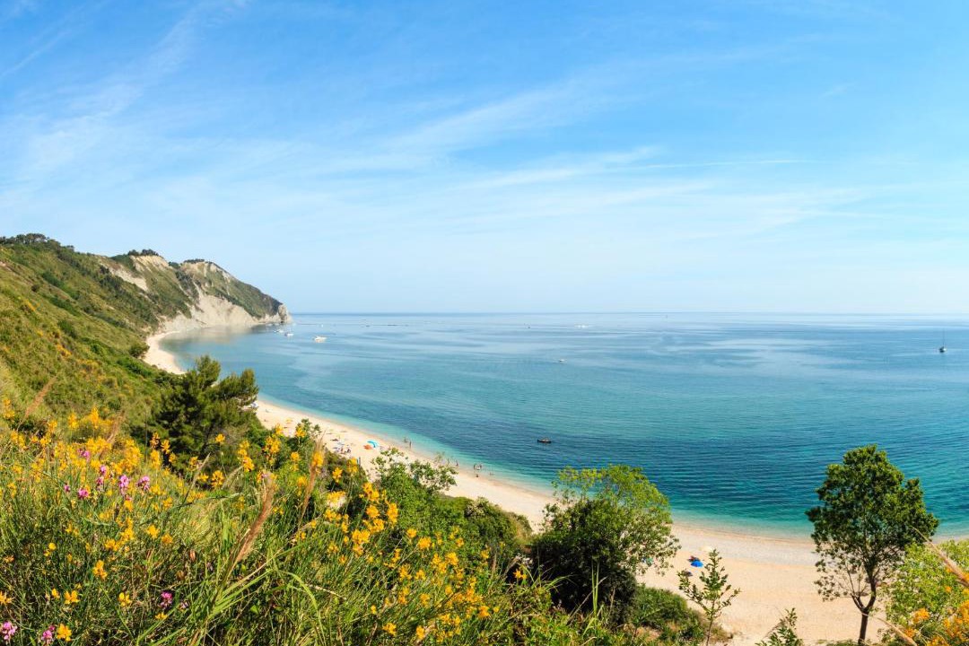 Photo of Others in Portonovo