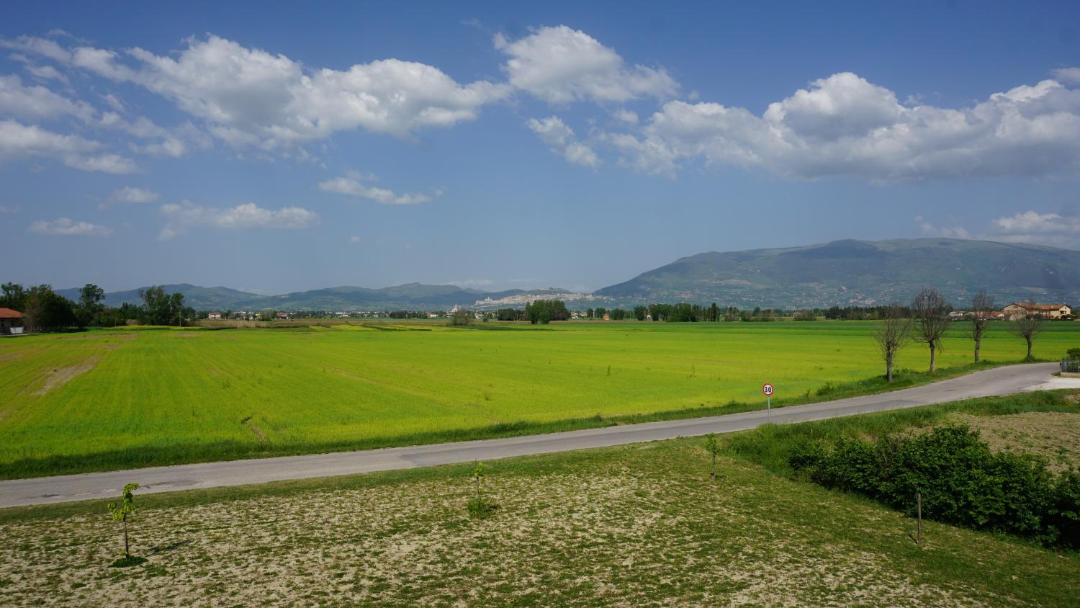 Photo of Others in Bettona