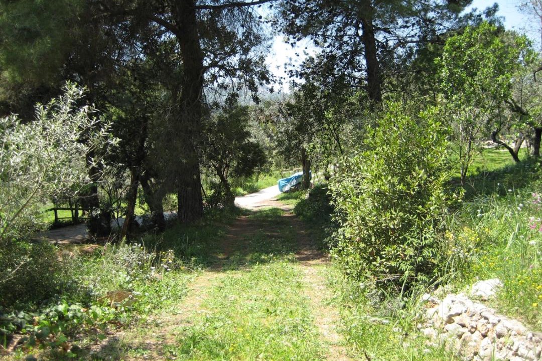 Photo of Others in Itri