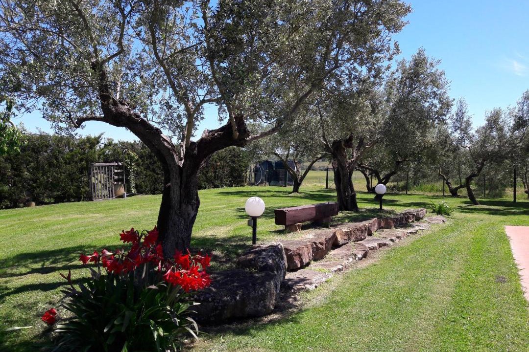 Photo of Others in Gavorrano