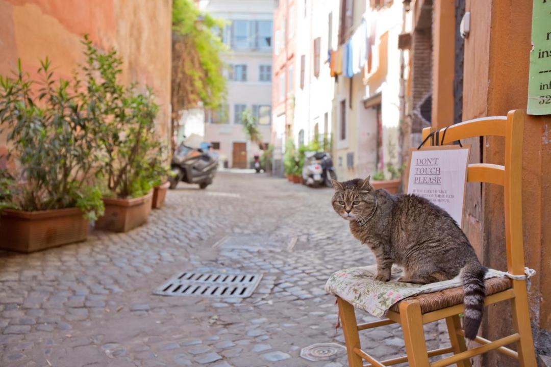 Photo of Others in Trastevere