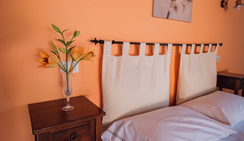 Comfort Double Room, 1 Bedroom, Terrace, Vineyard View