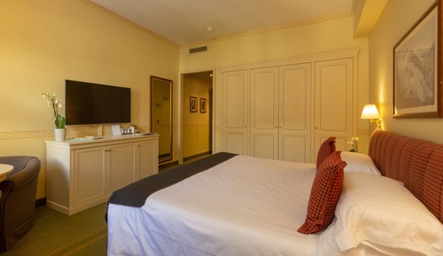 Superior Double or Twin Room, Mountain View