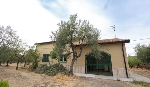 House, Garden View