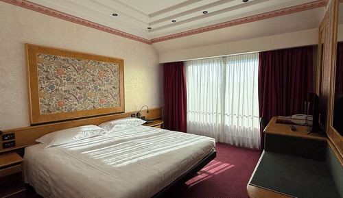 Premium Double Room, 1 Double Bed