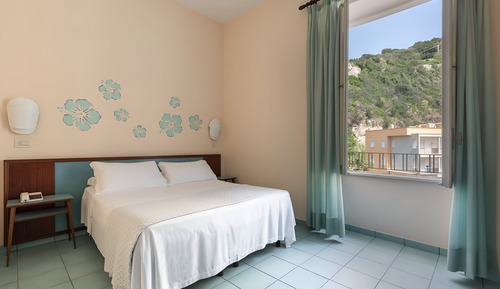 Basic Double or Twin Room