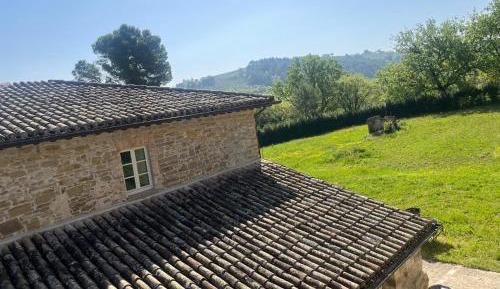 Deluxe One-Bedroom Apartment with Garden View