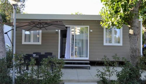 Mobile Home