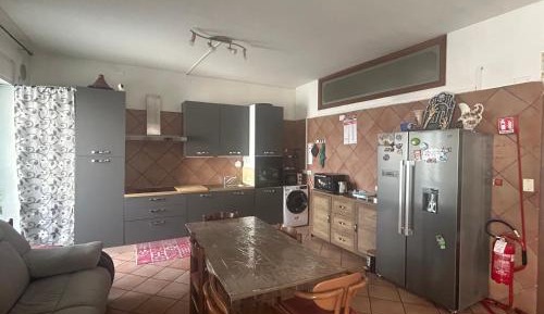 4-Bed Mixed Dormitory Room