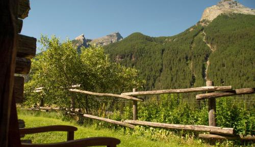 Double or Twin Room with Mountain View