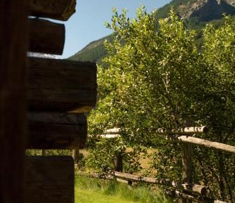 Double or Twin Room with Mountain View