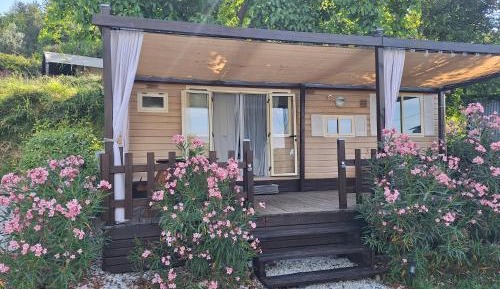 Mobile Home