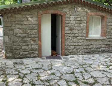Standard Villa