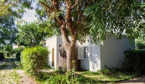Bungalow with Garden View