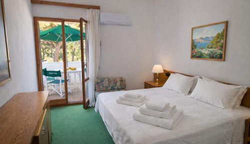 Large Double or Twin Room
