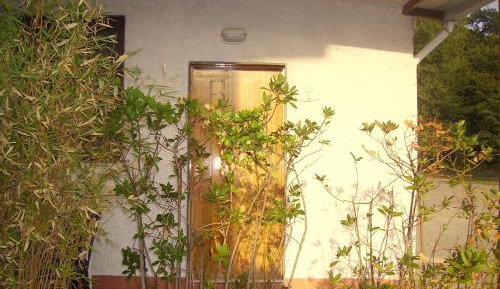 Double Room with Patio