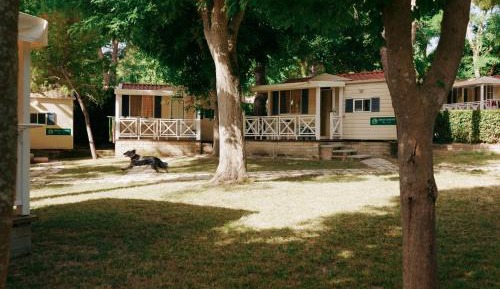 Easy Mobile Home