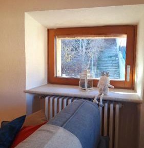 Apartment with View