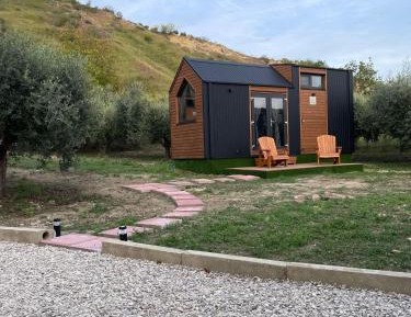Mobile Home