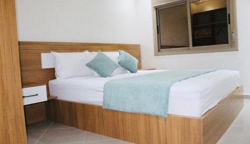 Deluxe One-Bedroom Apartment