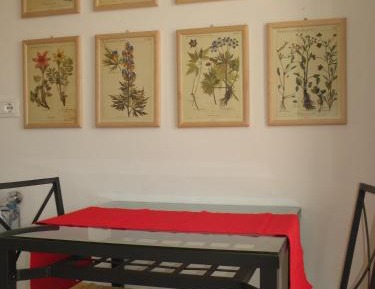 Double Room with Terrace