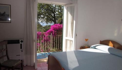 Double or Twin Room with Sea View