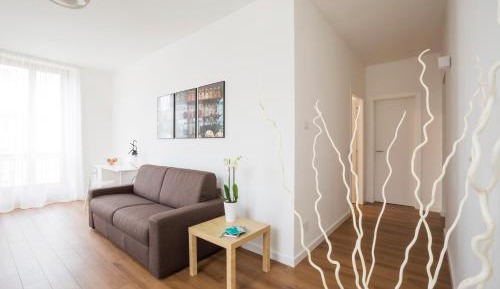 Large One-Bedroom Apartment