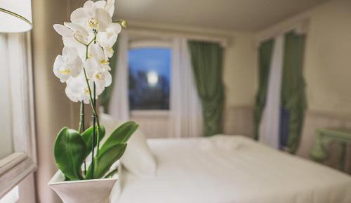 Classic Double or Twin Room with Garden View