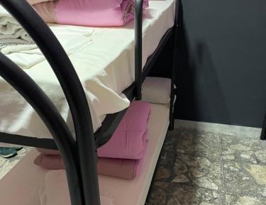 Bunk Bed in Female Dormitory Room  
