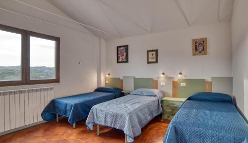 Bed in 6-Bed Mixed Dormitory Room