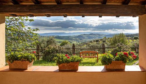 Double Room with Patio