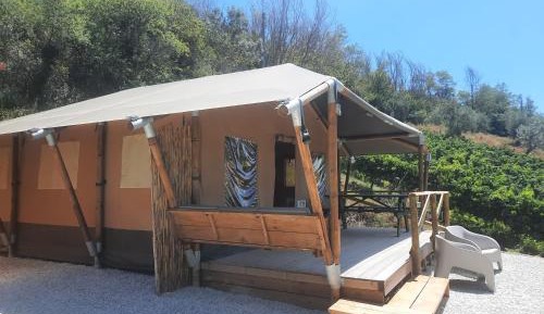 Large Tent