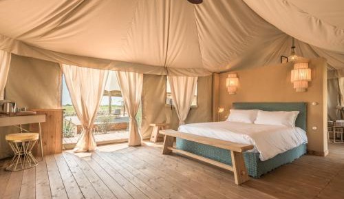 Standard Tent
