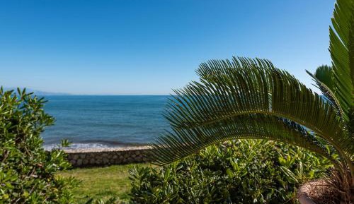 Superior Double or Twin Room with Terrace