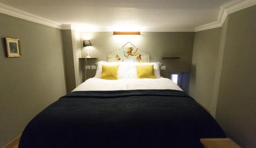 Standard Suite