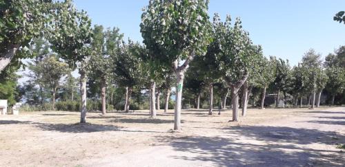 Empty lot/Piazzola vuota (bring your own tent/caravan/autocamper)