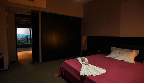 Large Single Room