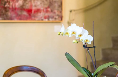 Dagnente House | White Lilac romantic B&B adults only