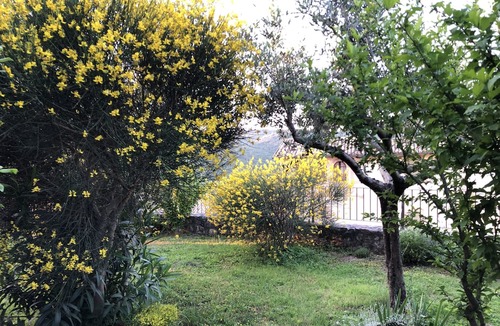 Giano dell'Umbria House | Giano dell’Umbria - Privacy e silenzio