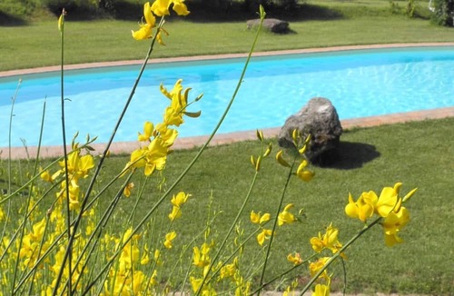 Monteleone d'Orvieto Apartment | Wohnung in Santa Maria mit Whirlpool, Grill und gemeinsamem Pool by Interhome