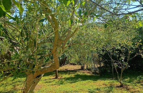 Loreto House | Country House Le Olghe Loreto - immersion in the hills of the Marches