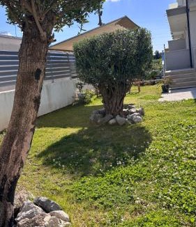 Sant'Antonio Abate Villa | Harmonia Relax in Costiera Amalfitana Napoli Pompei