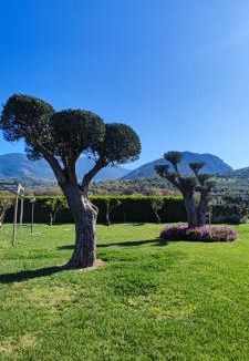 Capaccio-Paestum Bed & Breakfast | B&b Le Colline Di Paestum
