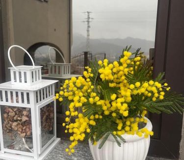 Villar San Costanzo House | Tenuta Rella