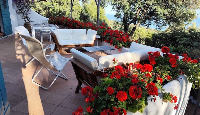A Michele Busiri's villa facing the Pontine Islands in the mediterranean woods.