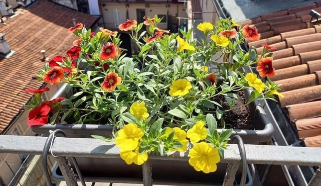 Centrally located in the heart of Turin's Roman Old City